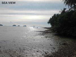  Grundstück zu verkaufen in Koh Samui, Surat Thani, Taling Ngam