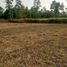  Land for sale in Kalasin, Bua Khao, Kuchinarai, Kalasin