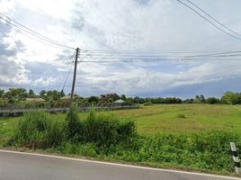  Grundstück zu verkaufen in San Kamphaeng, Chiang Mai, Sai Mun
