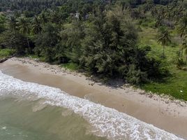  Grundstück zu verkaufen in Koh Samui, Surat Thani, Na Mueang, Koh Samui