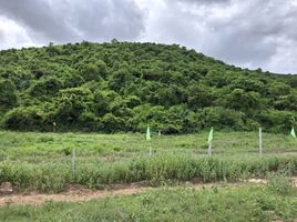  Grundstück zu verkaufen in Pran Buri, Prachuap Khiri Khan, Pak Nam Pran, Pran Buri