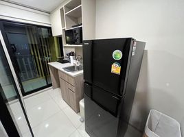 1 Schlafzimmer Appartement zu vermieten im Plum Condo Sukhumvit 97.1, Bang Chak, Phra Khanong, Bangkok, Thailand