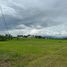  Land for sale in Mueang Chiang Rai, Chiang Rai, Rim Kok, Mueang Chiang Rai