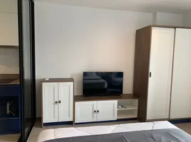 คอนโด 1 ห้องนอน ให้เช่า ในโครงการ เดอะ เบส เซ็นทรัล ภูเก็ต, วิชิต