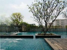 2 Bedroom Condo for rent at The Tree Bangpho Station, Bang Sue