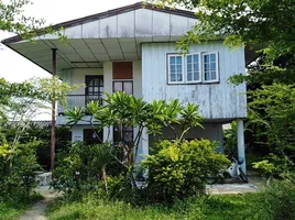 4 Schlafzimmer Haus zu verkaufen in Mueang Surin, Surin, Nai Mueang