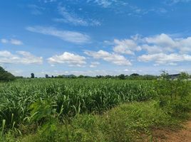  Grundstück zu verkaufen in Bo Phloi, Kanchanaburi, Nong Kum, Bo Phloi, Kanchanaburi