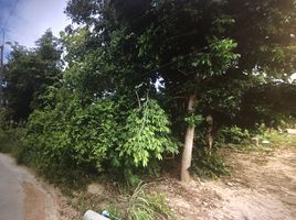  Land for sale at Phet Kanchana Village, Takhian Tia