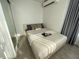 1 Bedroom Apartment for rent at The Tree Charan 30, Ban Chang Lo