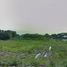  Land for sale in Nong Chom, San Sai, Nong Chom