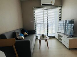 1 Schlafzimmer Wohnung zu vermieten im Nue Noble Srinakarin - Lasalle, Samrong Nuea, Mueang Samut Prakan, Samut Prakan