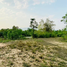  Land for sale in Wat Phra Dhatu Sri Chom Thong, Ban Luang, 