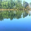 หัวตะพาน