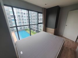 1 Schlafzimmer Wohnung zu verkaufen im Aspen Condo Lasalle, Bang Na