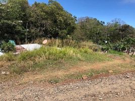  Land for sale in Guanacaste, Tilaran, Guanacaste