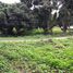  Land for sale in I Love Flower Farm, Mueang Kaeo, Mueang Kaeo