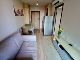 1 Bedroom Condo for sale at Ideo O2, Bang Na