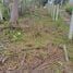  Land for sale in Koh Samui Surat Thani, Na Mueang