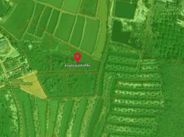  Land for sale in Choeng Thale, Thalang, Choeng Thale