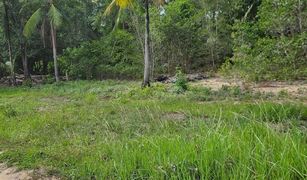 N/A Grundstück zu verkaufen in Ko Pha-Ngan, Koh Samui 