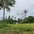  Land for sale in Ang Thong, Koh Samui, Ang Thong