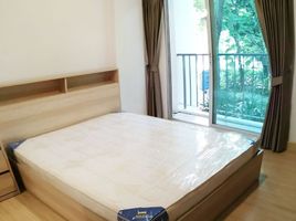 2 Bedroom Apartment for rent at The Parkland Srinakarin, Samrong Nuea, Mueang Samut Prakan, Samut Prakan
