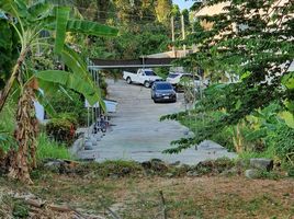  Land for sale in Banzaan Fresh Market, Patong, Patong