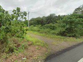  Grundstück zu verkaufen in Phanom, Surat Thani, Khlong Sok