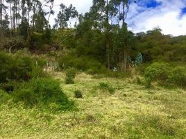  Grundstück zu verkaufen in Gualaceo, Azuay, Jadan