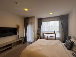 Studio Condo for rent at Dcondo Reef Phuket, Kathu, Kathu