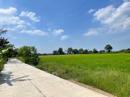  Grundstück zu verkaufen in Nong Khae, Saraburi, Nong Khaem, Nong Khae