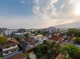 1 Bedroom Apartment for sale at Palm Springs Nimman Areca, Suthep