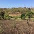  Land for sale in Mae Hong Son, Wiang Nuea, Pai, Mae Hong Son