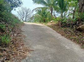  Grundstück zu verkaufen in Koh Samui, Surat Thani, Bo Phut