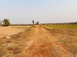  Grundstück zu verkaufen in Sawang Daen Din, Sakon Nakhon, Ban Thon, Sawang Daen Din, Sakon Nakhon
