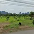  Land for sale in Takua Thung, Phangnga, Krasom, Takua Thung