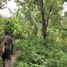  Land for sale in South Tongu Volta, South Tongu, Volta