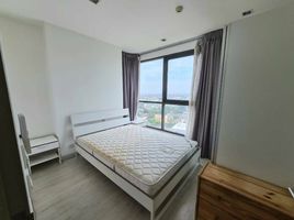 2 Schlafzimmer Wohnung zu vermieten im Ideo Mobi Sukhumvit 81, Bang Chak