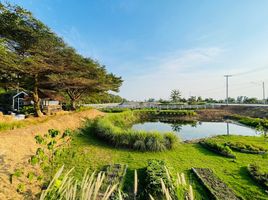  Land for sale in Nong Suea, Pathum Thani, Sala Khru, Nong Suea