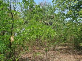  Land for sale in Nakhon Pathom, Don Khoi, Kamphaeng Saen, Nakhon Pathom