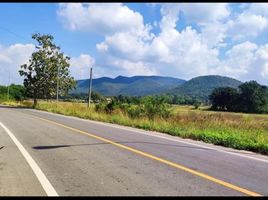  Land for sale in Mueang Lamphun, Lamphun, Si Bua Ban, Mueang Lamphun