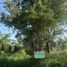  Land for sale at Summit Green Valley , Mae Sa, Mae Rim