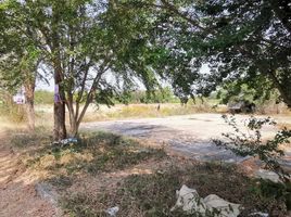  Land for sale in Nong O, Ban Pong, Nong O