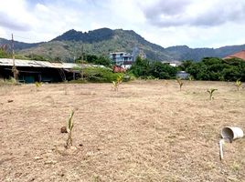  Land for sale in Phuket, Kamala, Kathu, Phuket