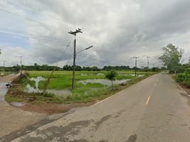  Land for sale in Sa Khwan, Mueang Sa Kaeo, Sa Khwan