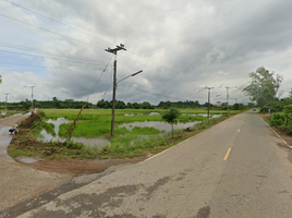  Grundstück zu verkaufen in Mueang Sa Kaeo, Sa Kaeo, Sa Khwan, Mueang Sa Kaeo, Sa Kaeo