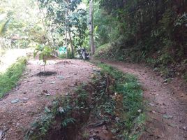  Land for sale in Phuket, Choeng Thale, Thalang, Phuket