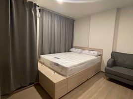 1 Schlafzimmer Appartement zu vermieten im The Muve Bangna, Bang Na