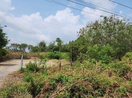  Land for sale in Khlong Niyom Yattra, Bang Bo, Khlong Niyom Yattra