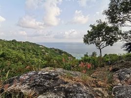  Grundstück zu verkaufen in Ko Pha-Ngan, Surat Thani, Ko Tao, Ko Pha-Ngan